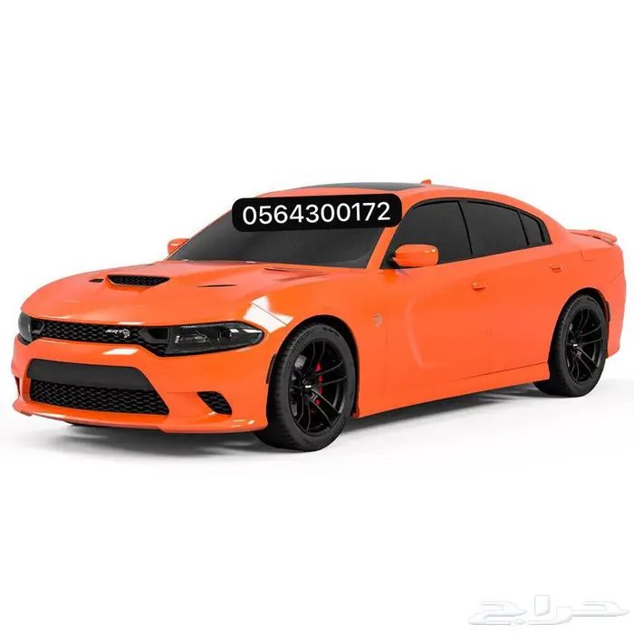 جنوط وايد بدي بدون تباريز مقاس 20 2