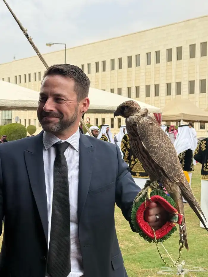 صقور للإيجار والتصوير والايفنتات 2