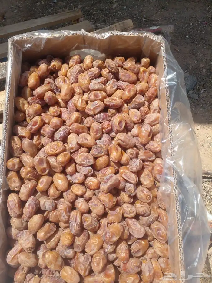 تمور اخلاص فله فاخر جوده عاليه 3