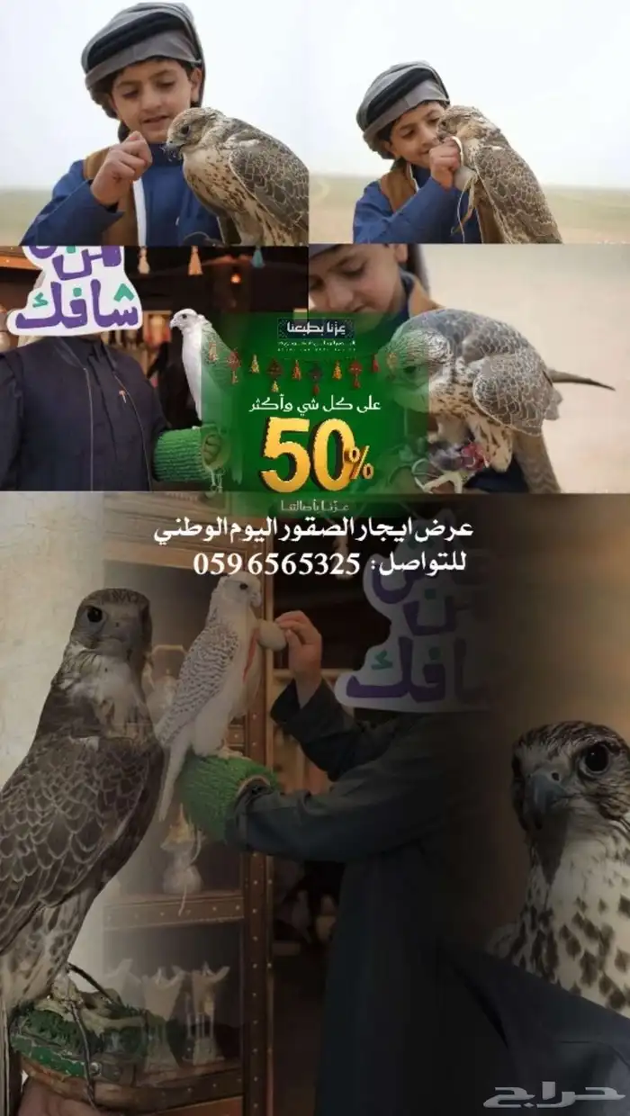 االلايجار الصقور مع الصقار الحق ماتلحق تحطيم السعار 0
