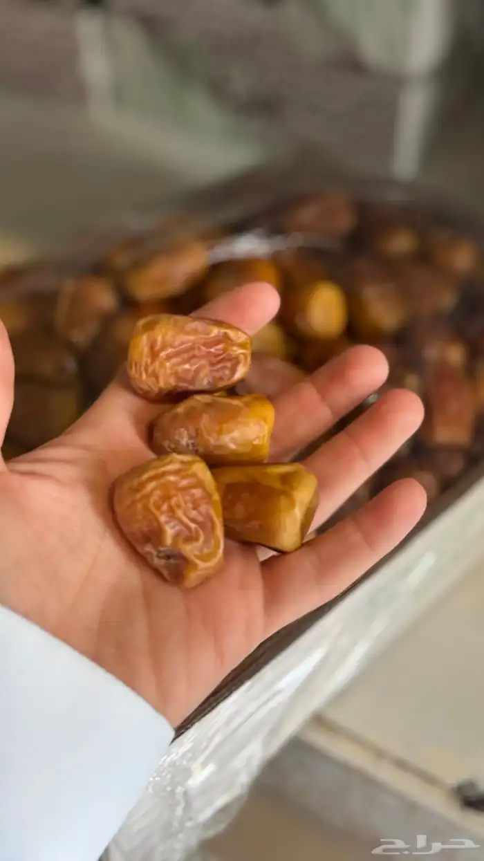 توفير جميع أنواع التمور 1