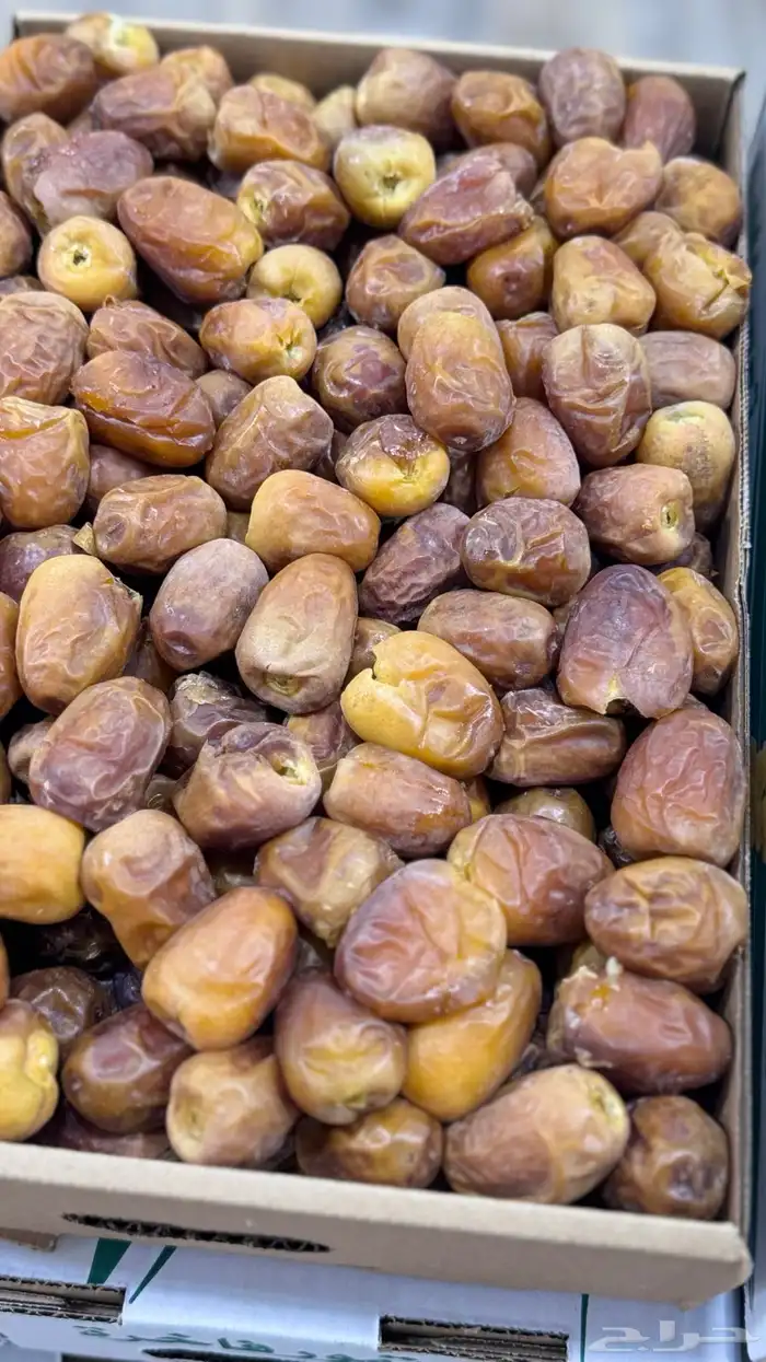 توفير جميع أنواع التمور 2