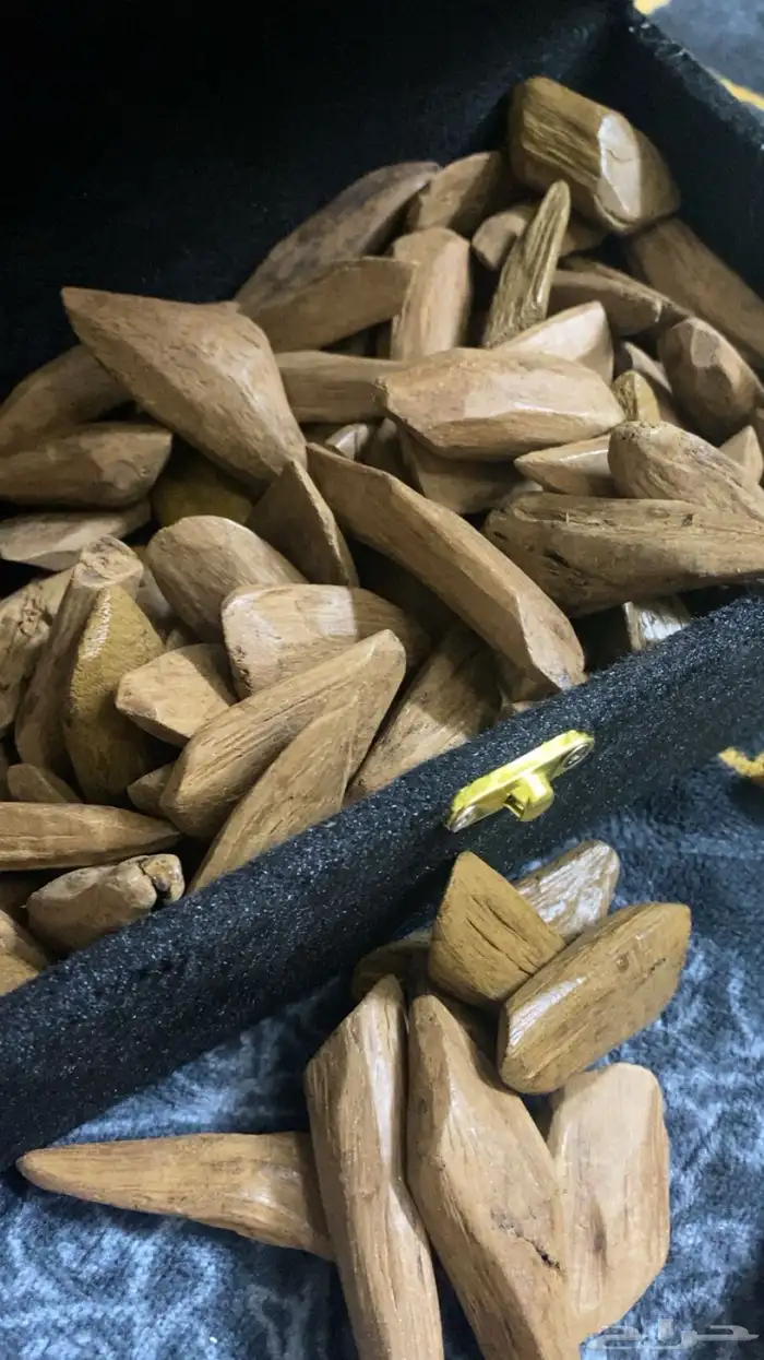 عود مروكي 1