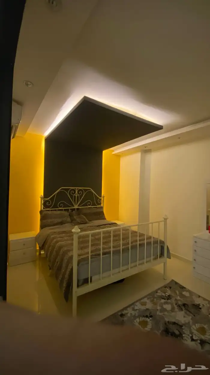 موثث كامل في مصر 4