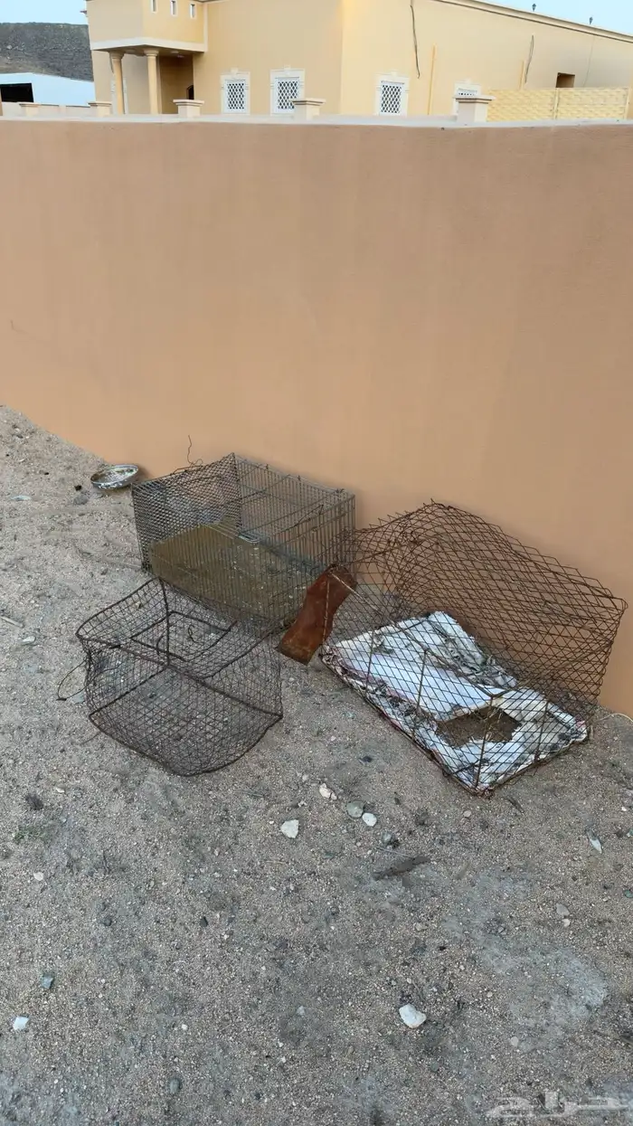 للبيع او البدل 1