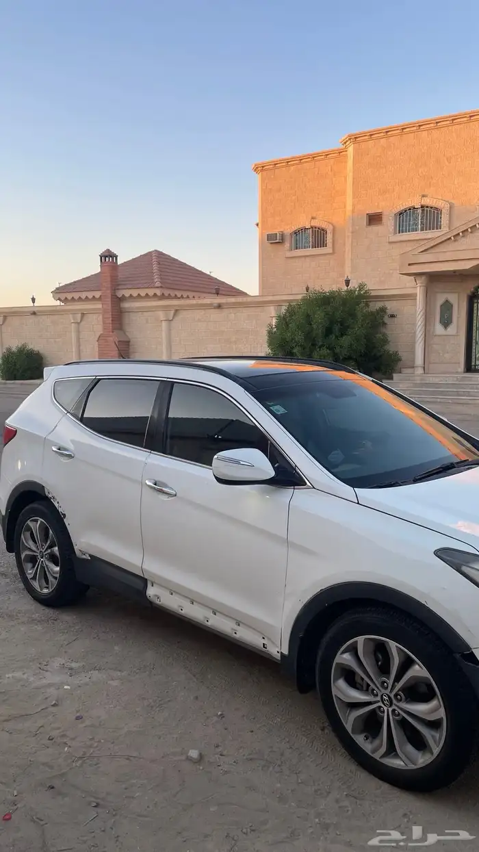 سنتافي 2014 3