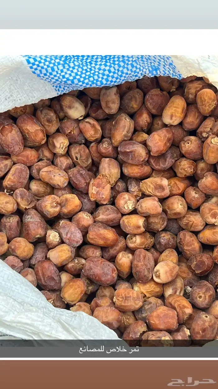للبيع تمر للمصانع 3