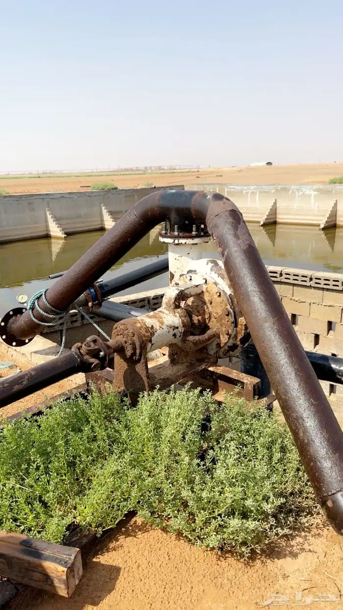 دفعة معدة جرعة 5