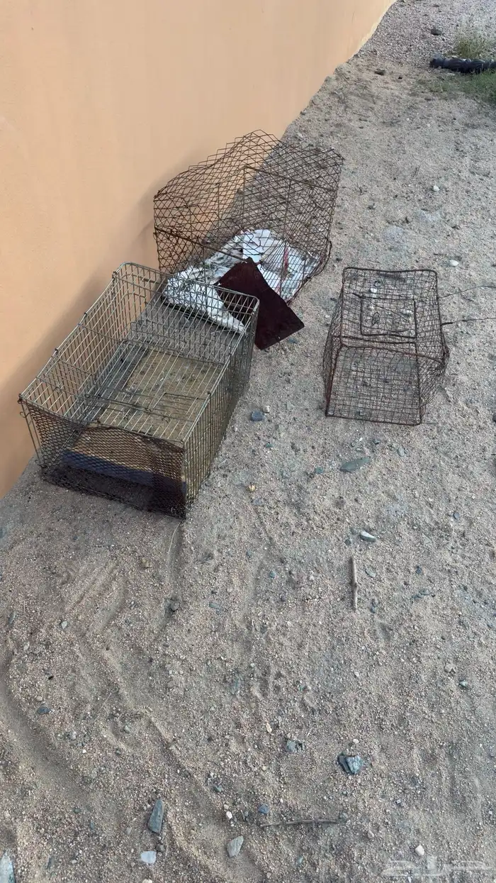 للبيع او البدل 2