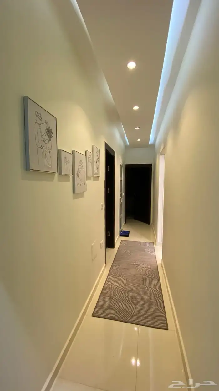 موثث كامل في مصر 10