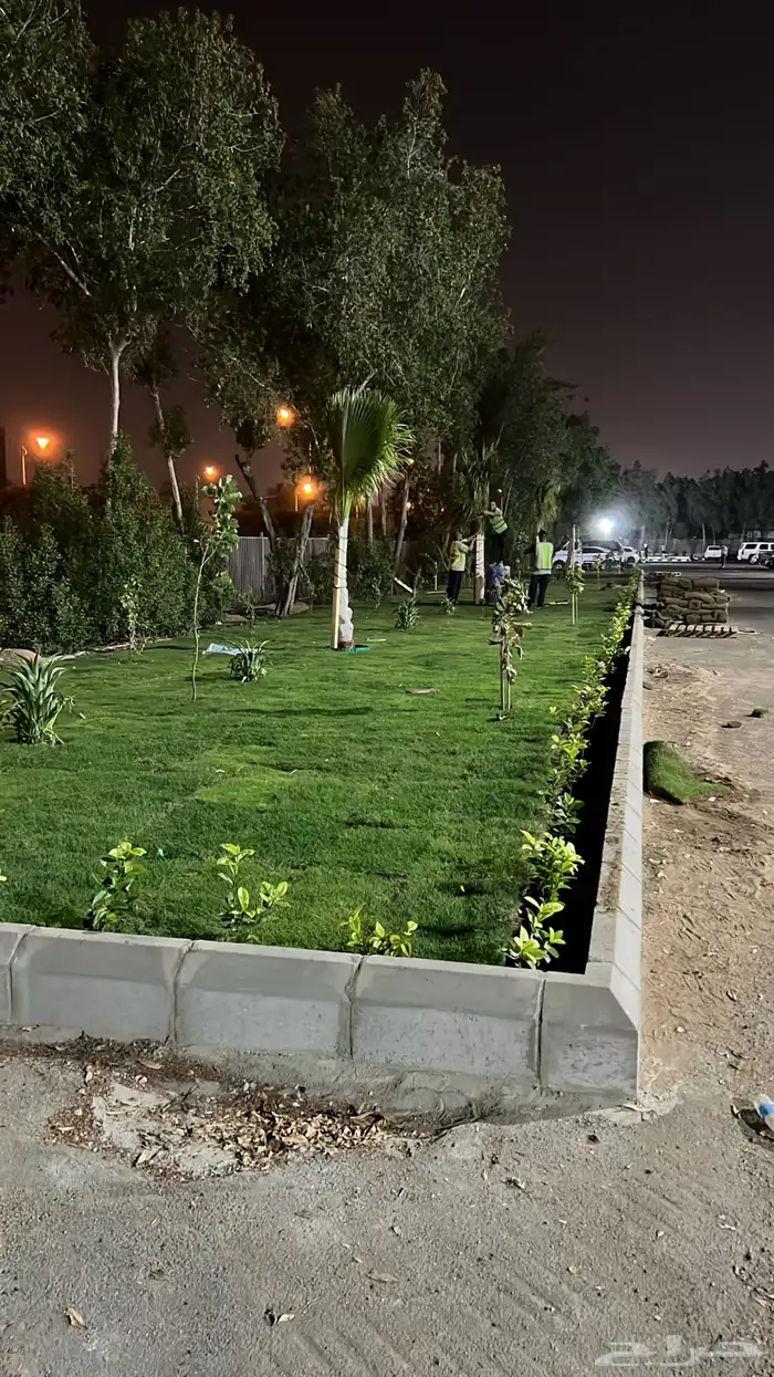 نجيله عشب طبيعي و زراعة وحدائق 38