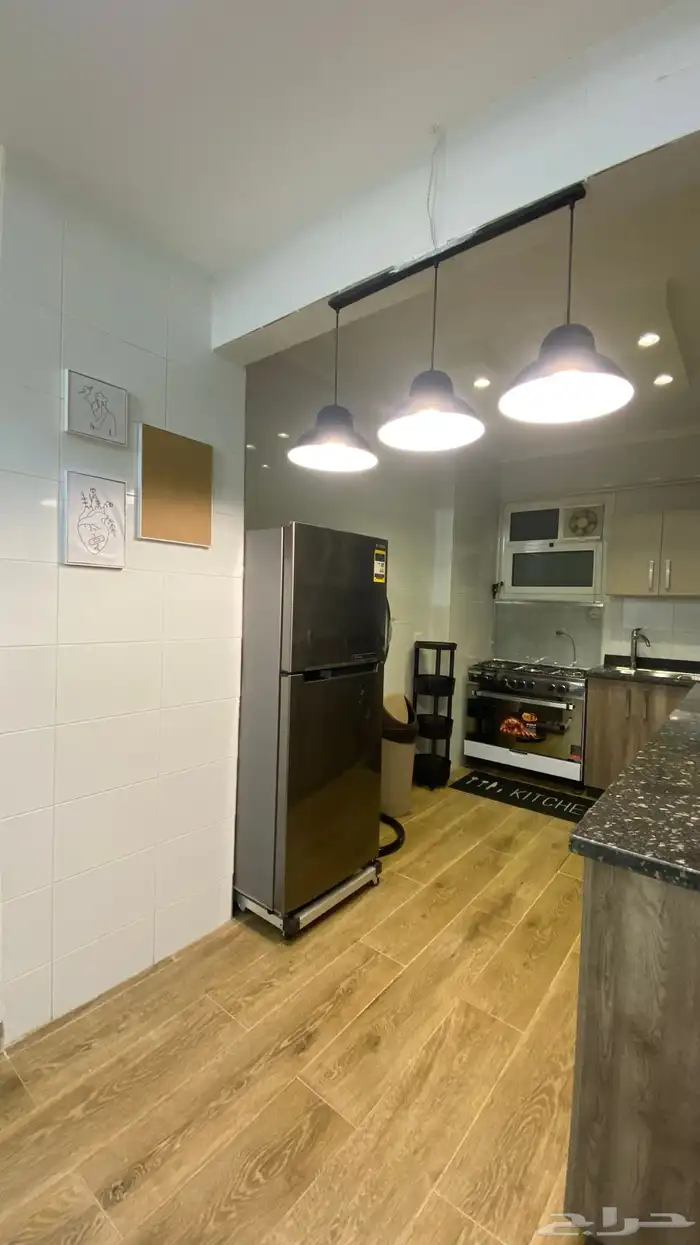 موثث كامل في مصر 12