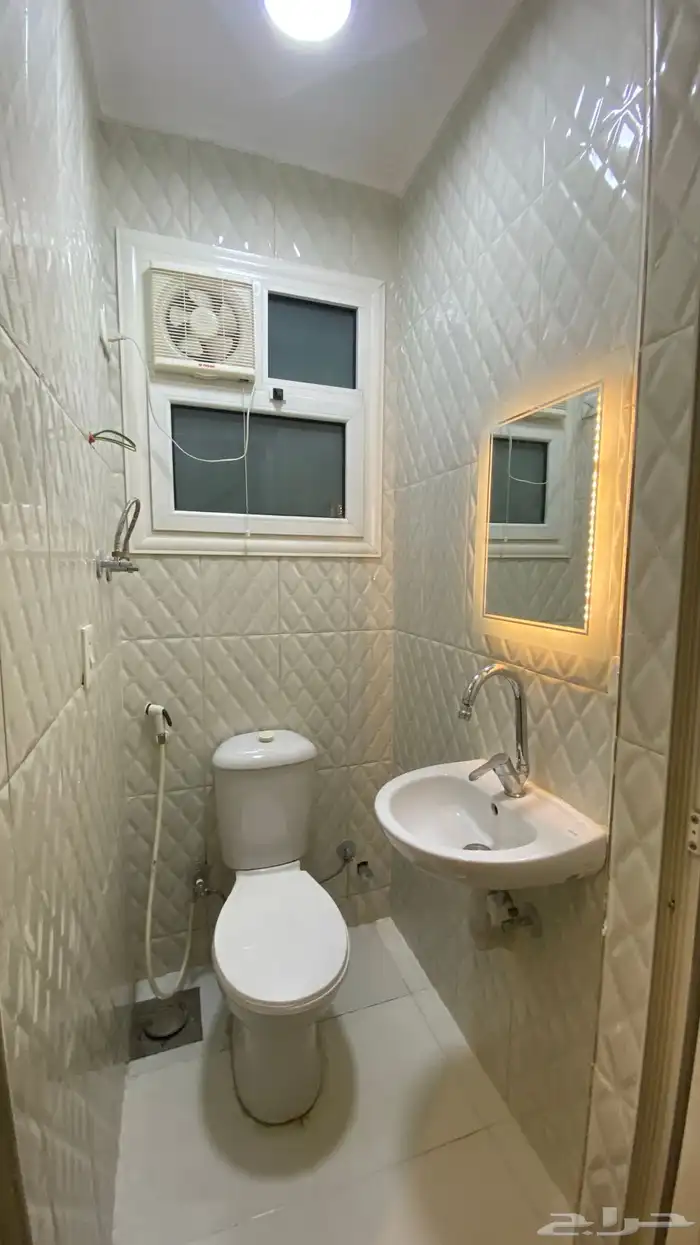 موثث كامل في مصر 7