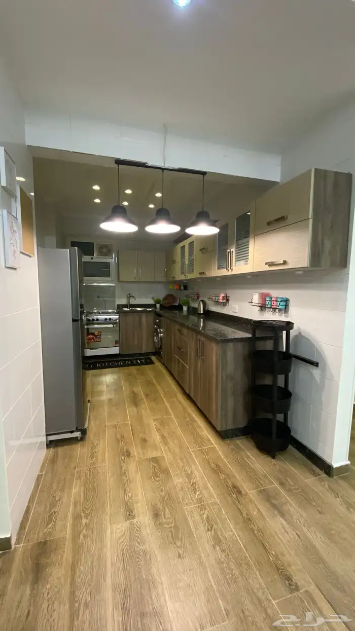 موثث كامل في مصر 8