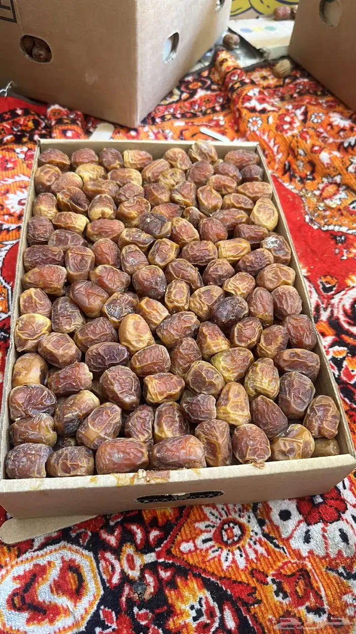 تمر سكري مفتل البيع جمله 5