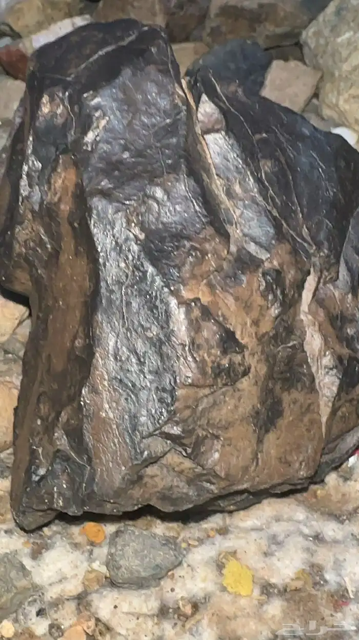 نيزك او غيره الله اعلم 3