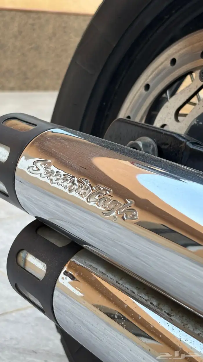 هارلي دايانا 2010 5