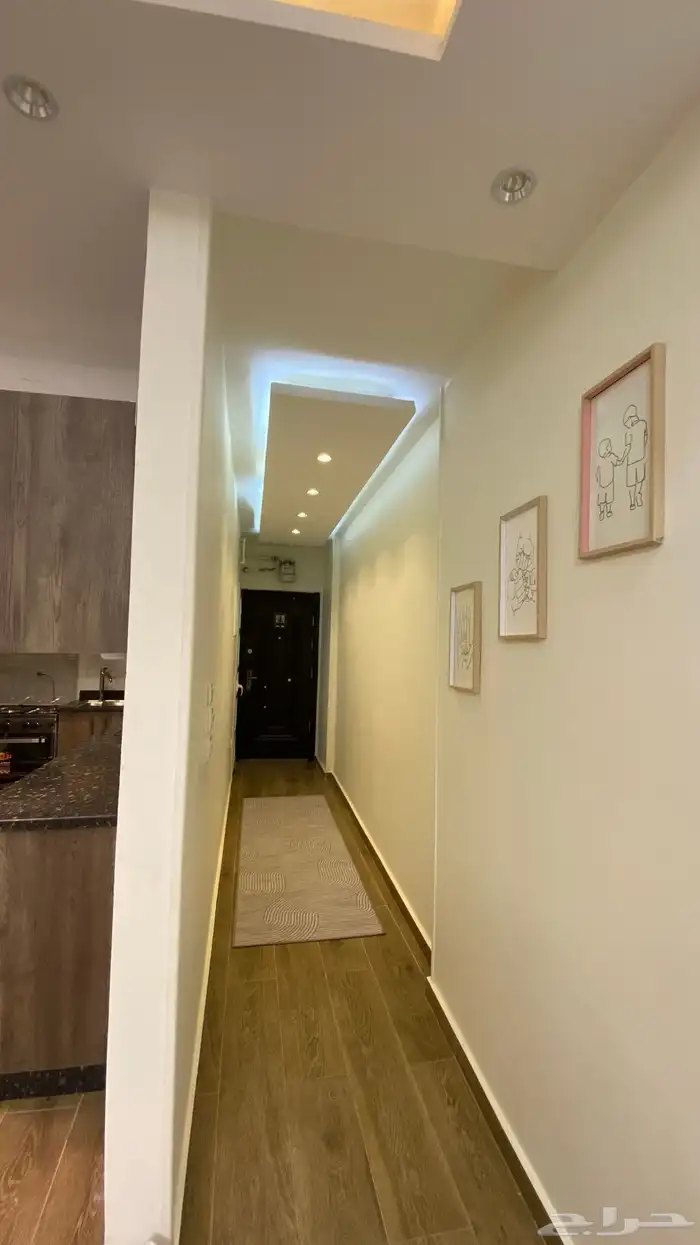 موثث كامل في مصر 13