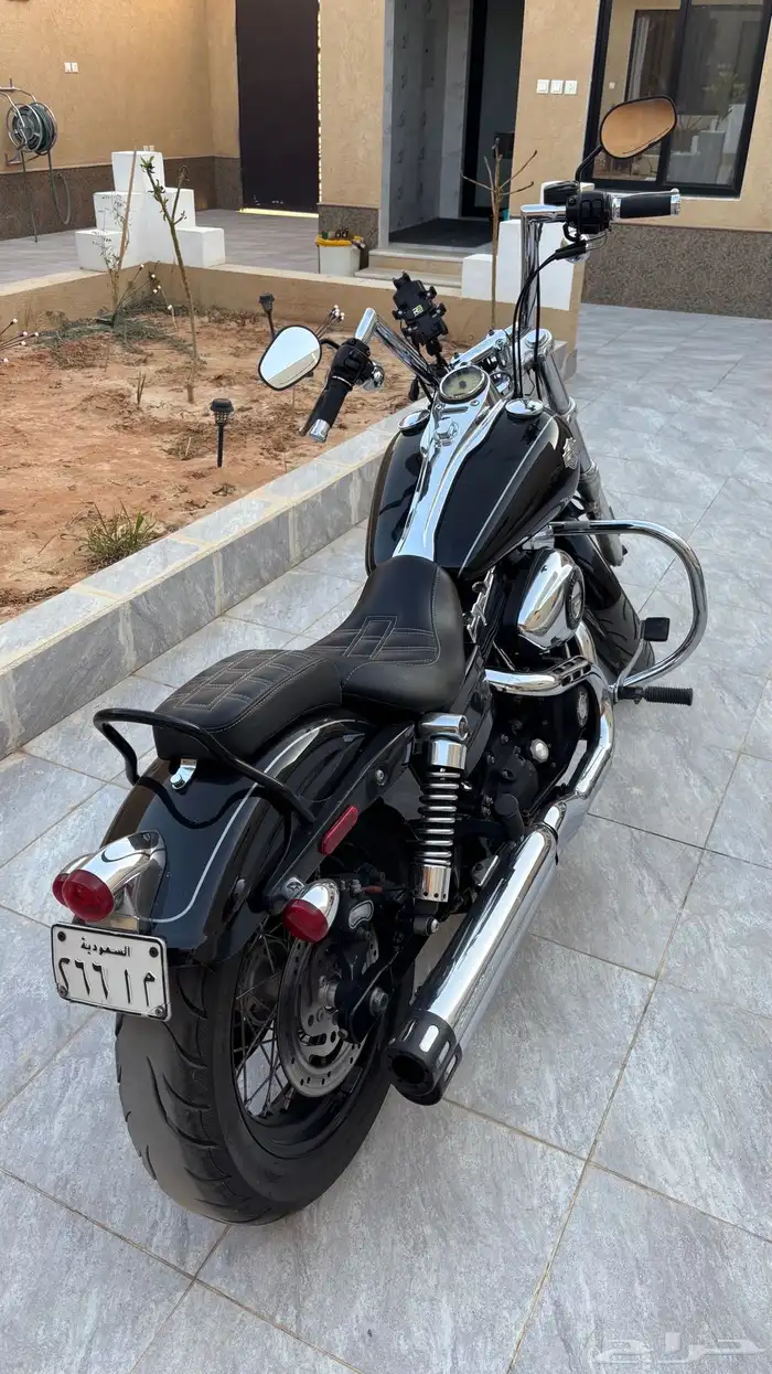 هارلي دايانا 2010 2