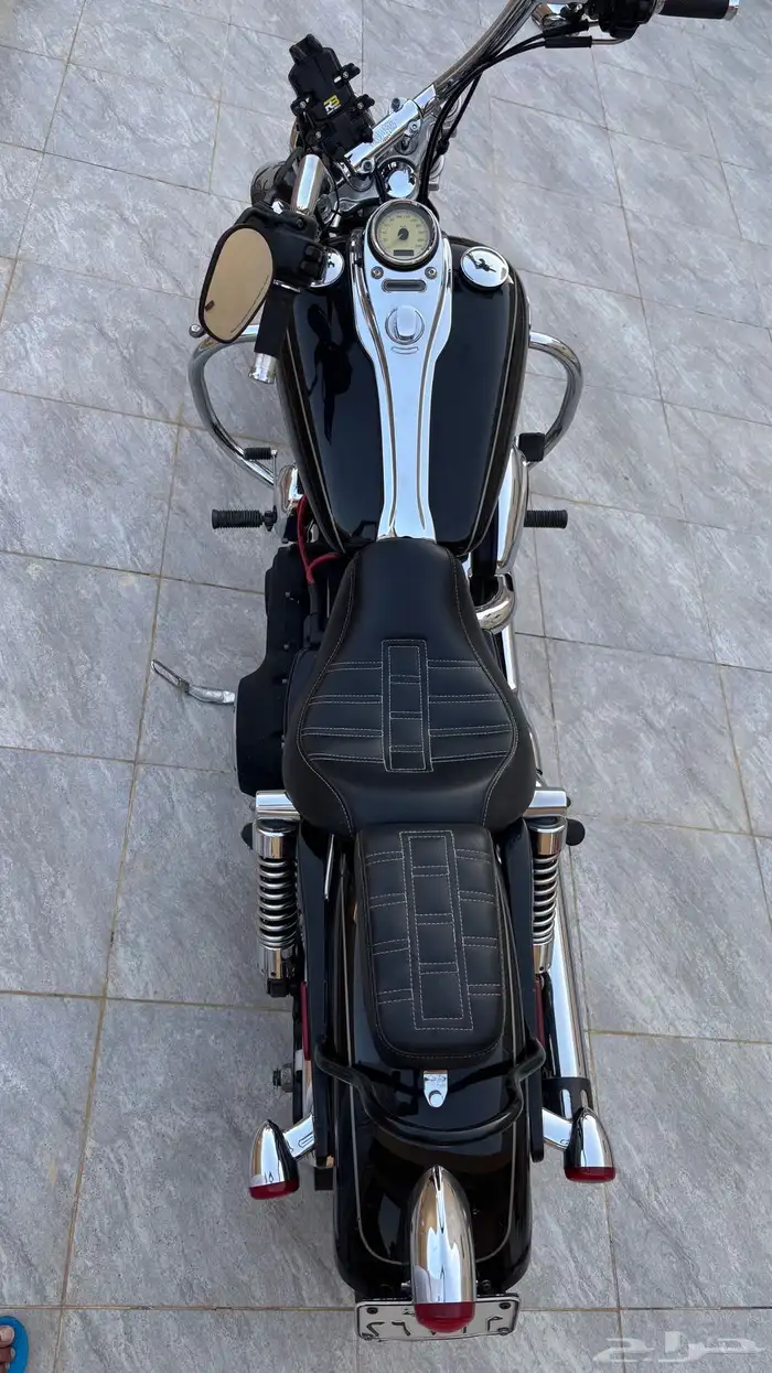 هارلي دايانا 2010 4