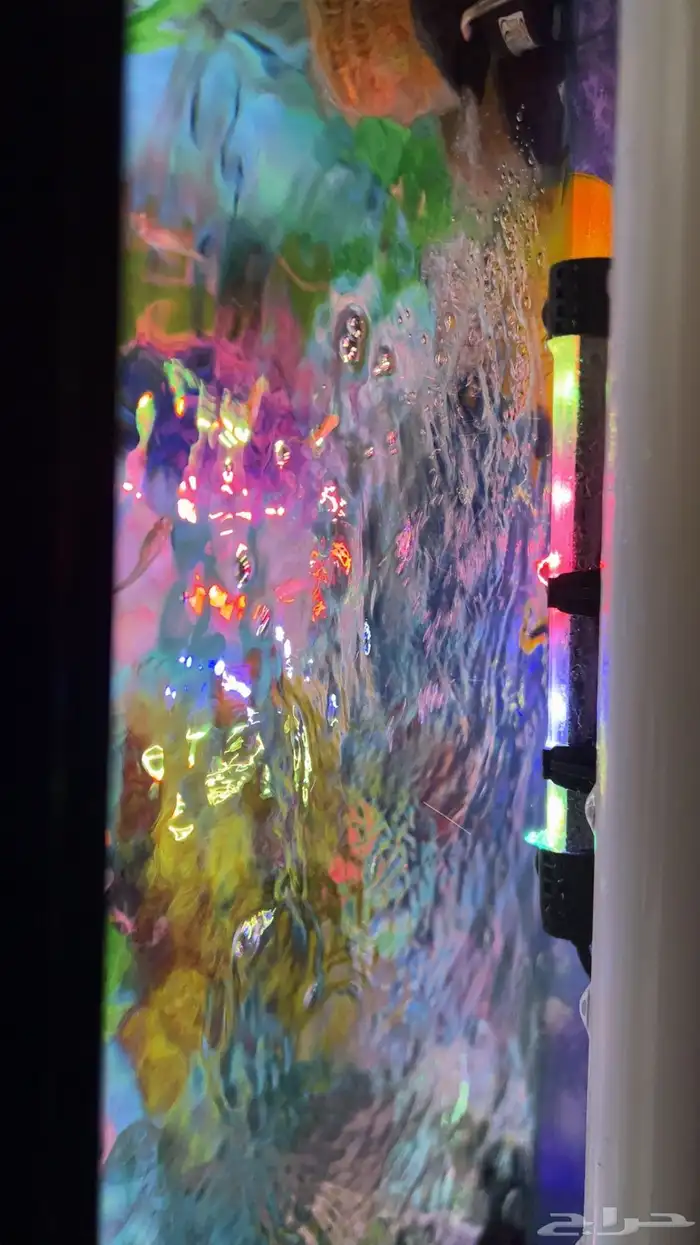 حوض سمك فنان 250 4