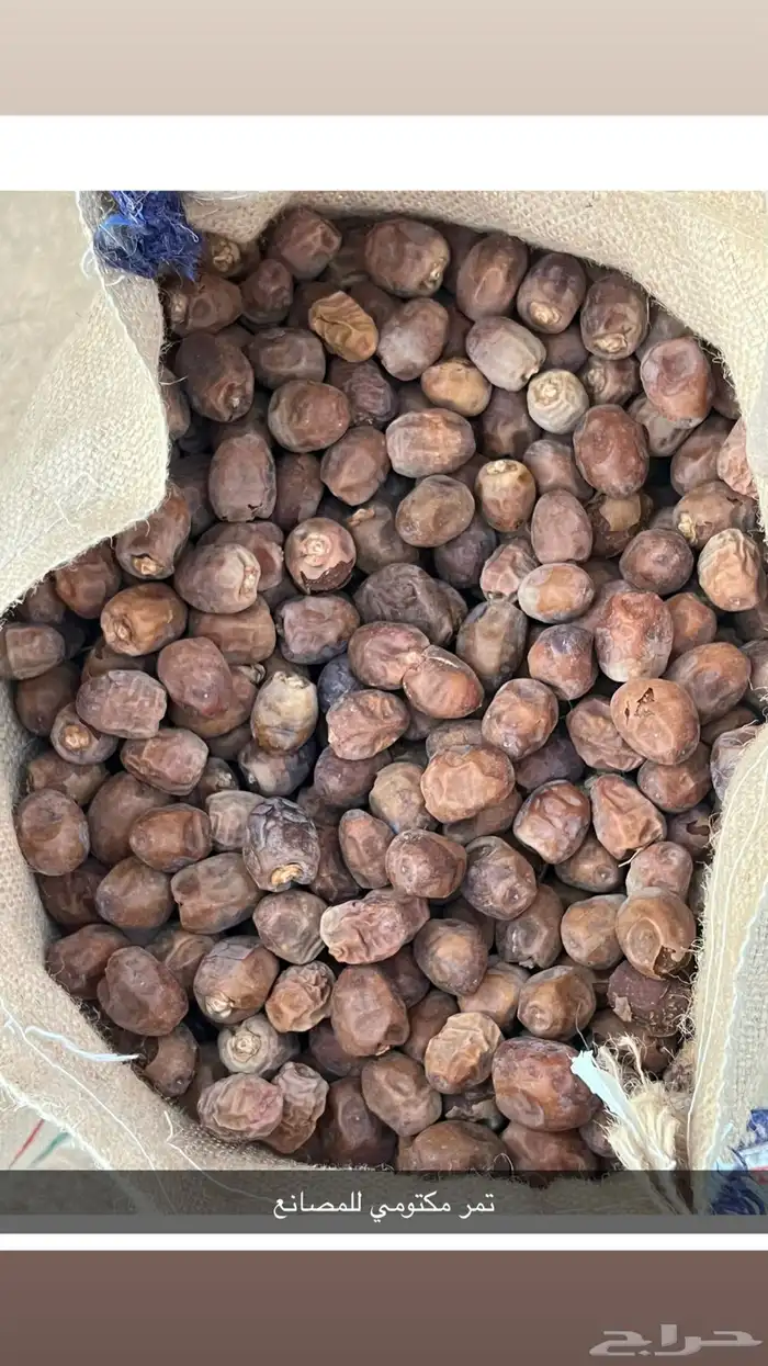 للبيع تمر للمصانع 1