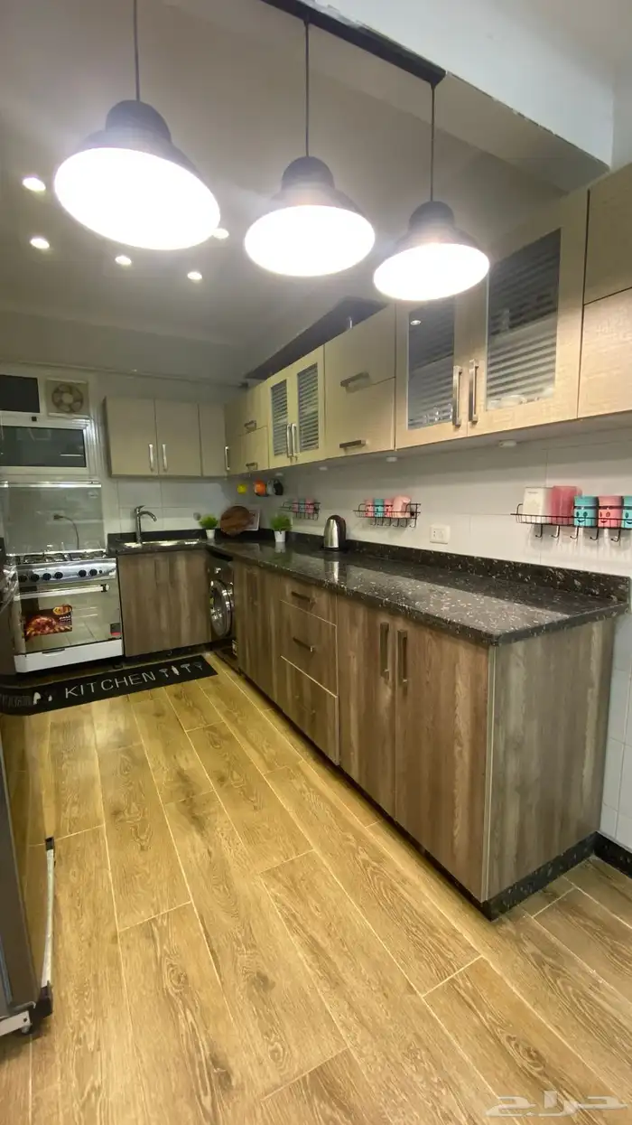 موثث كامل في مصر 11