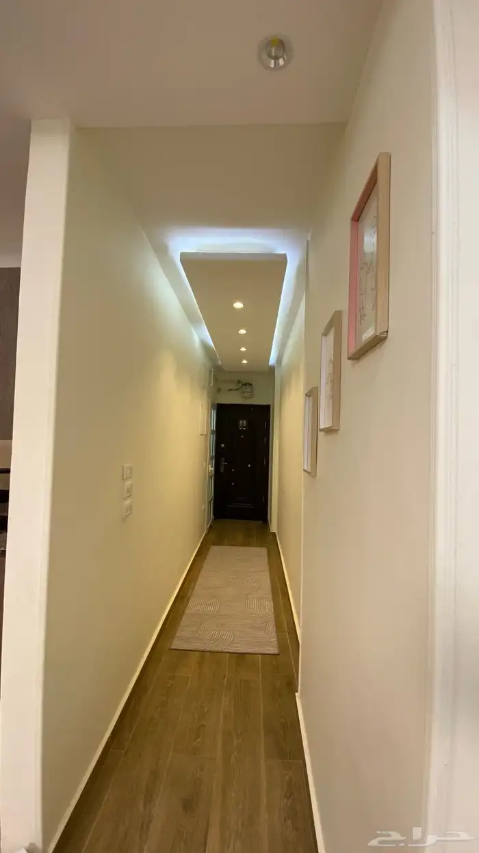 موثث كامل في مصر 9