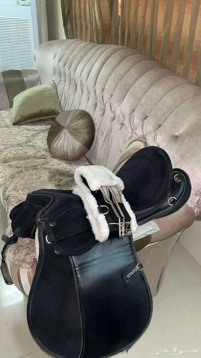 عرض سرج ستيتوس اصلي استخدام سنه كامله ولك حق الفحص 0