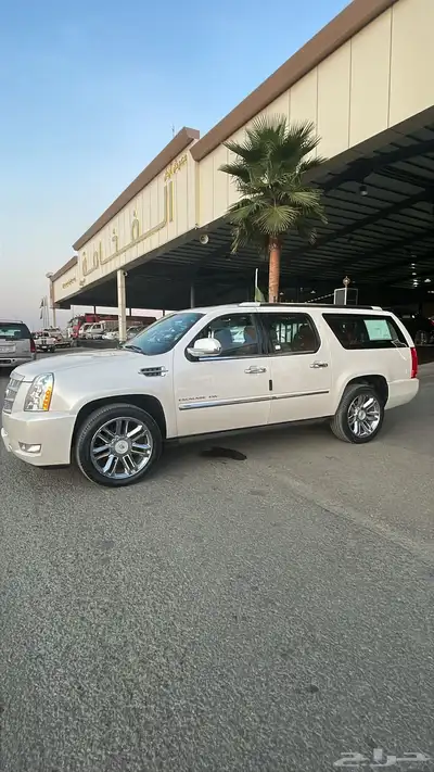 اسكاليد بلاتنيوم index