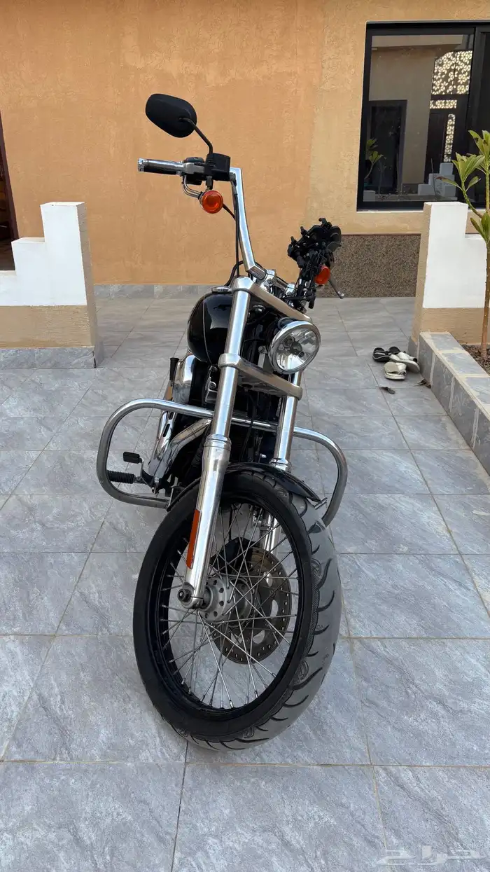 هارلي دايانا 2010 0