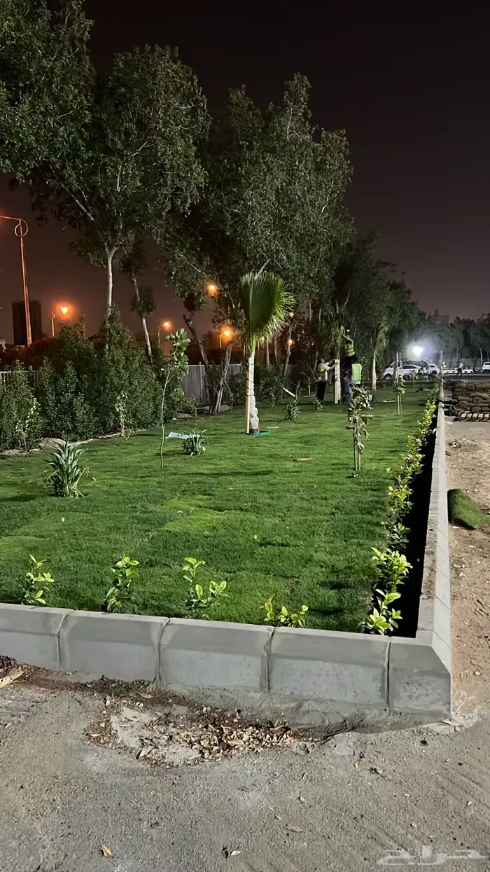 نجيله عشب طبيعي و زراعة وحدائق 39