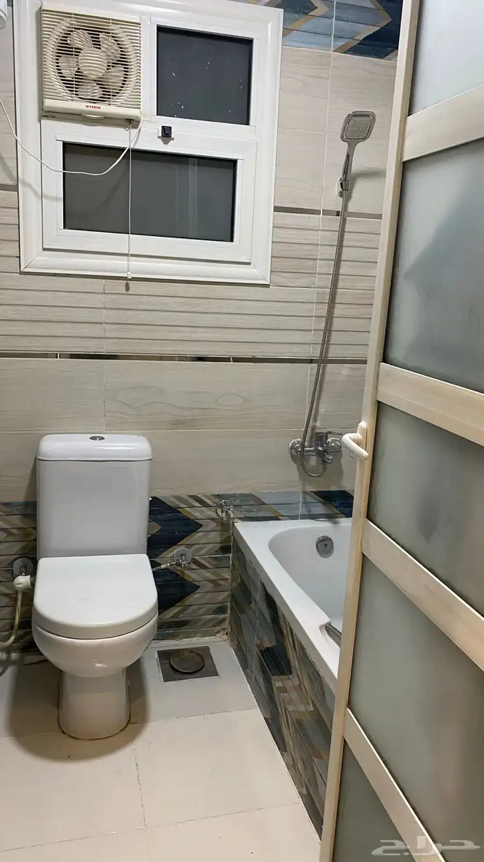 موثث كامل في مصر 3