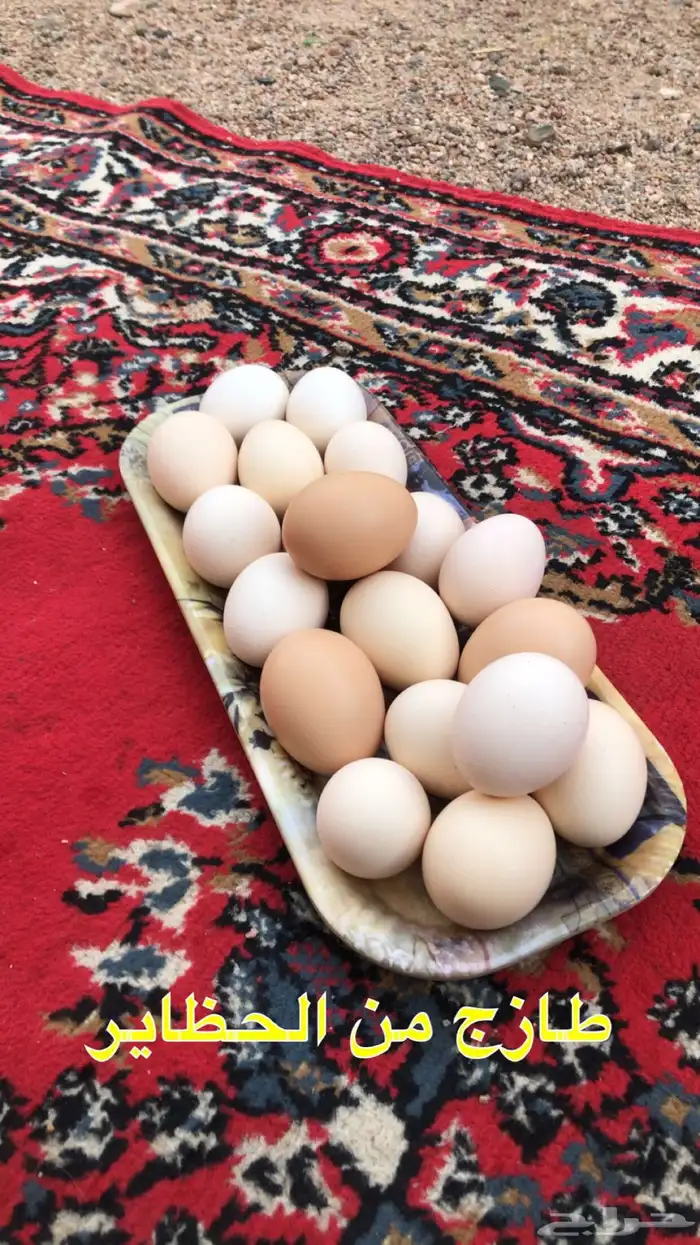 بيض فرنسي 2
