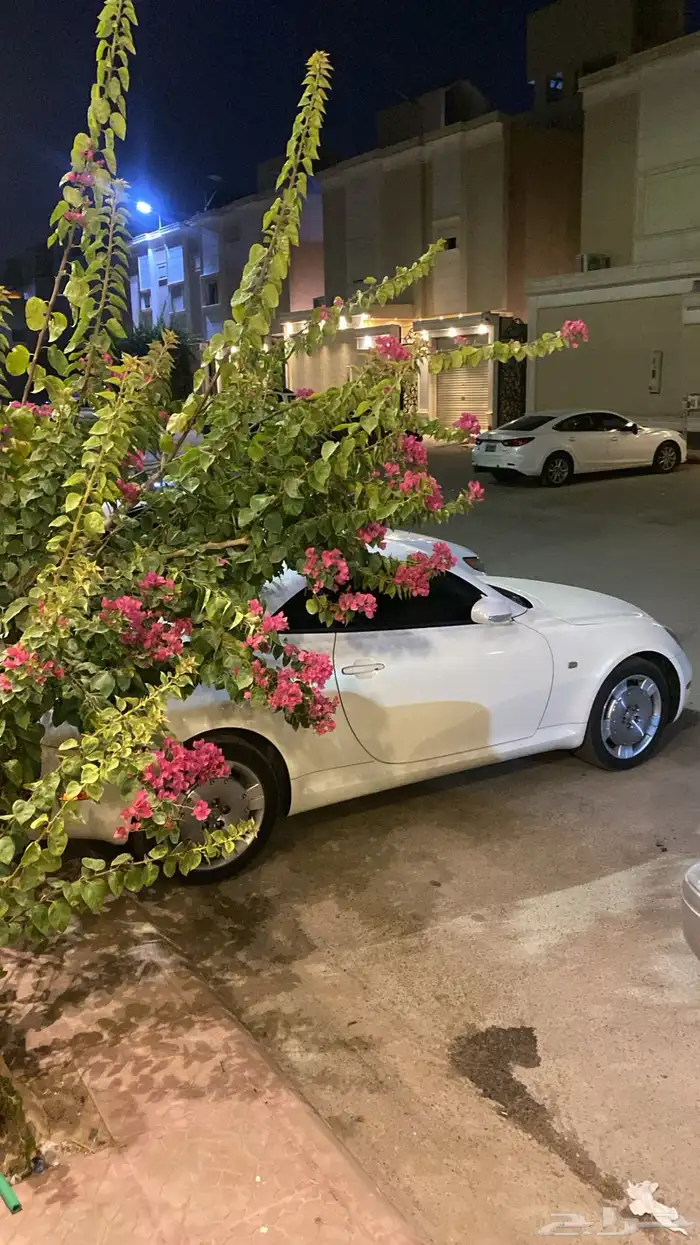 لكزس Sc430 كوبية كشف 2005 لون ابيض داخلية جملي نظيفه 18