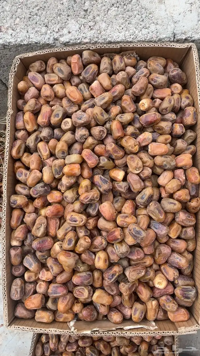 سكري فاخر حبه كبير حشو الكرتون ب 70 البيع جمله تم البيع 0