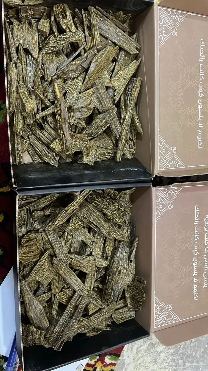 عود ازرق بسعر مناسب 4