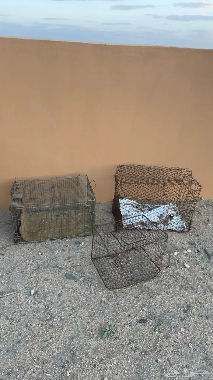 للبيع او البدل 0