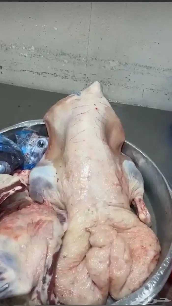 ذبايح 2