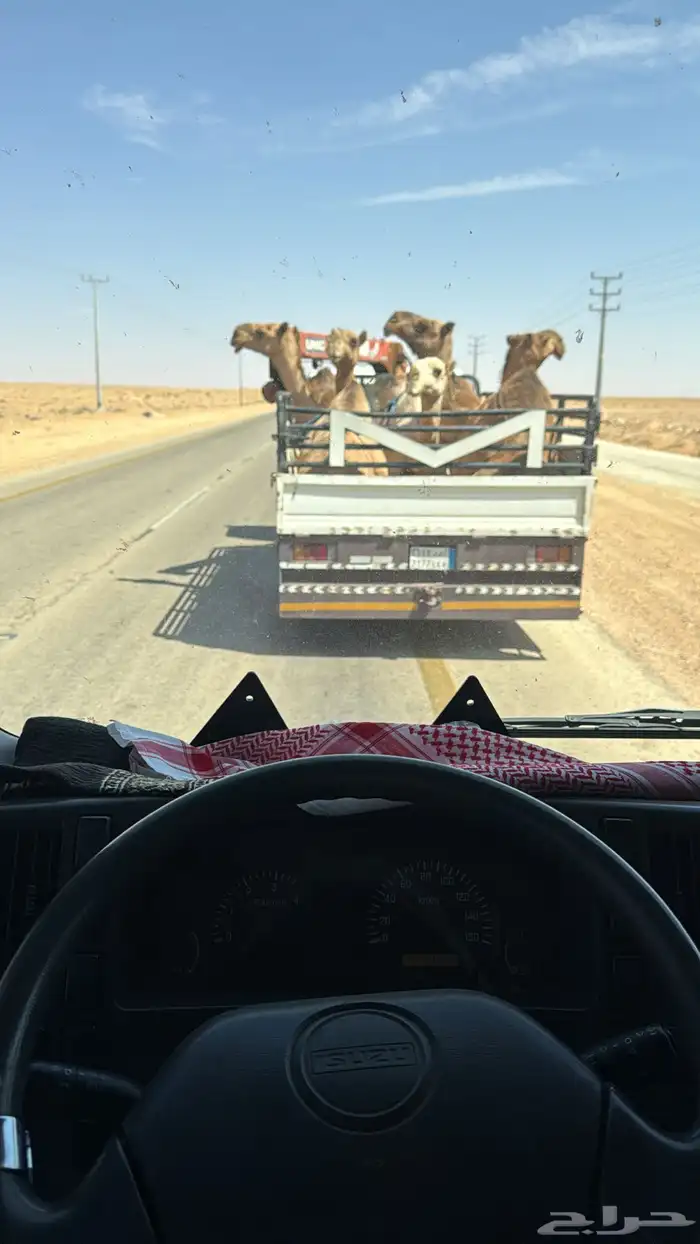 دنه هدروليك اباعر طابق 0