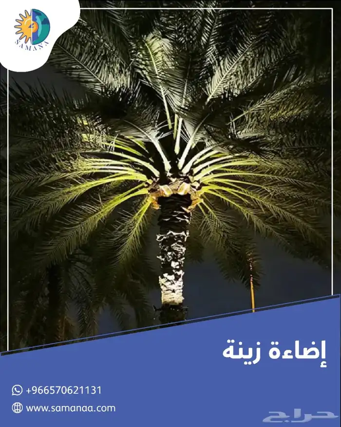 اضاءات نخيل تعمل بالطاقة الشمسية بدون اي تمديدات 3