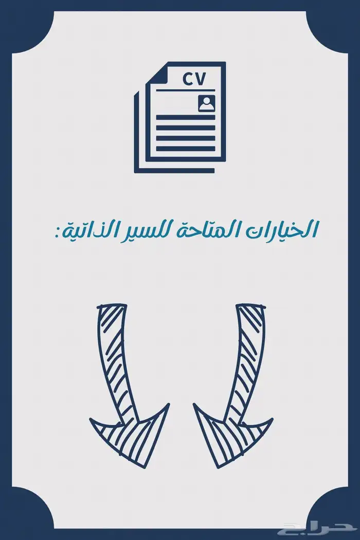 سيرة ذاتية احترافية 1