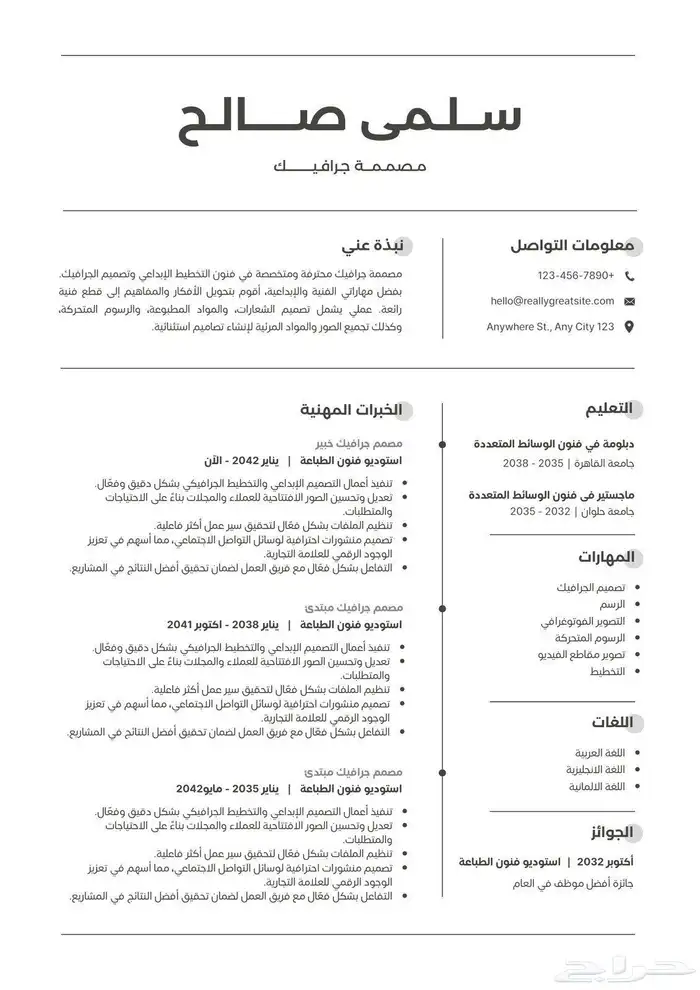 سيرة ذاتية احترافية 3
