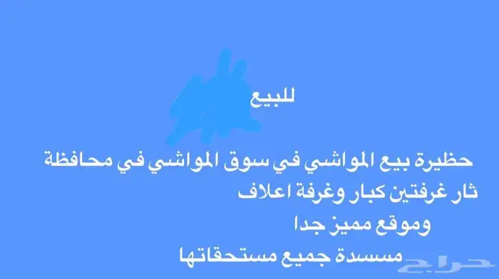 حظيره بيع مواشي في سوق ثار 0