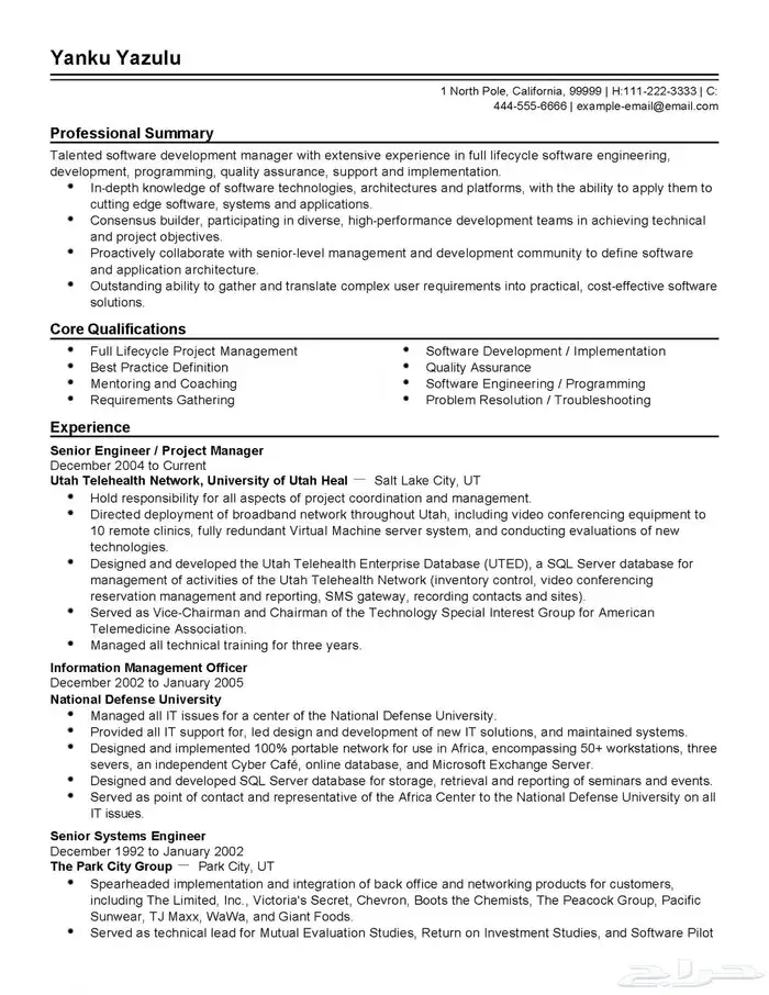 سيرة ذاتية احترافية 11