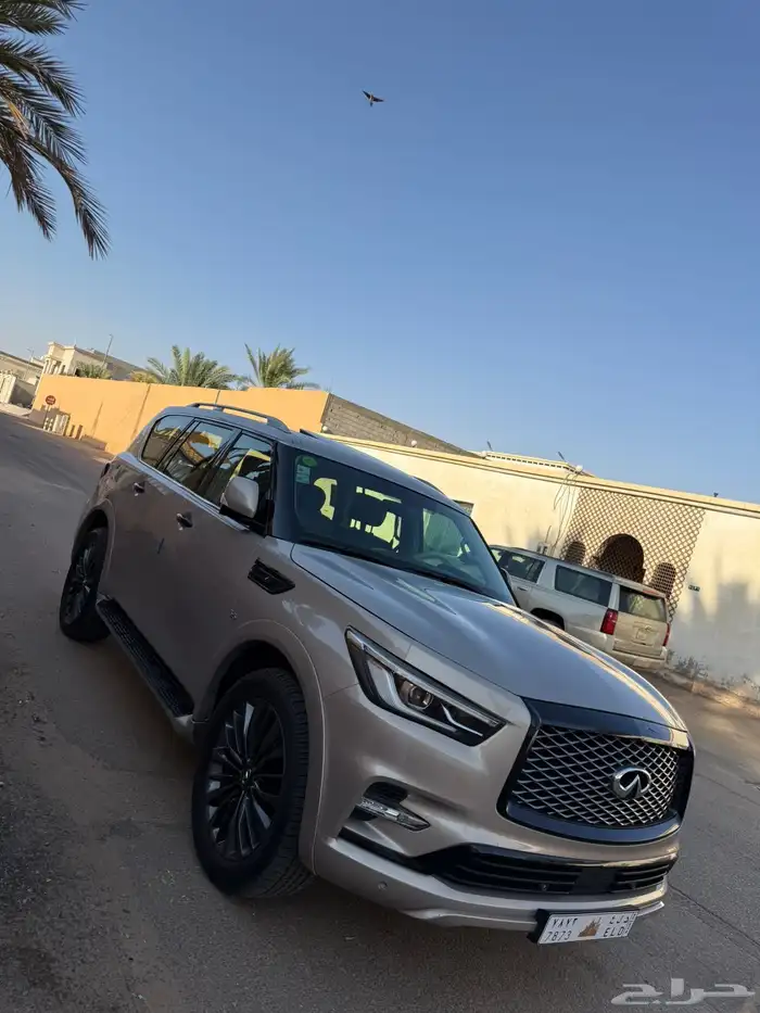 إنفنيتي 2018 مالك اول 0