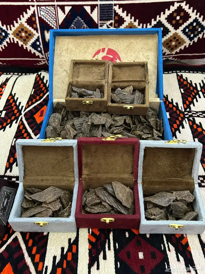 عود ازرق بسعر مناسب 3