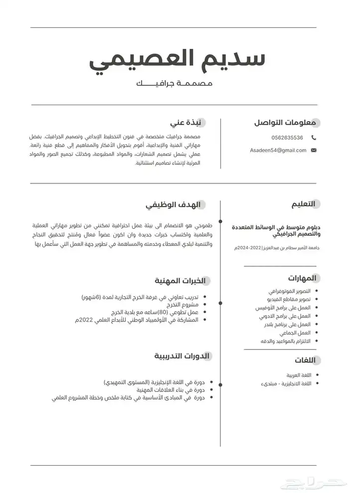 سيرة ذاتية احترافية 2