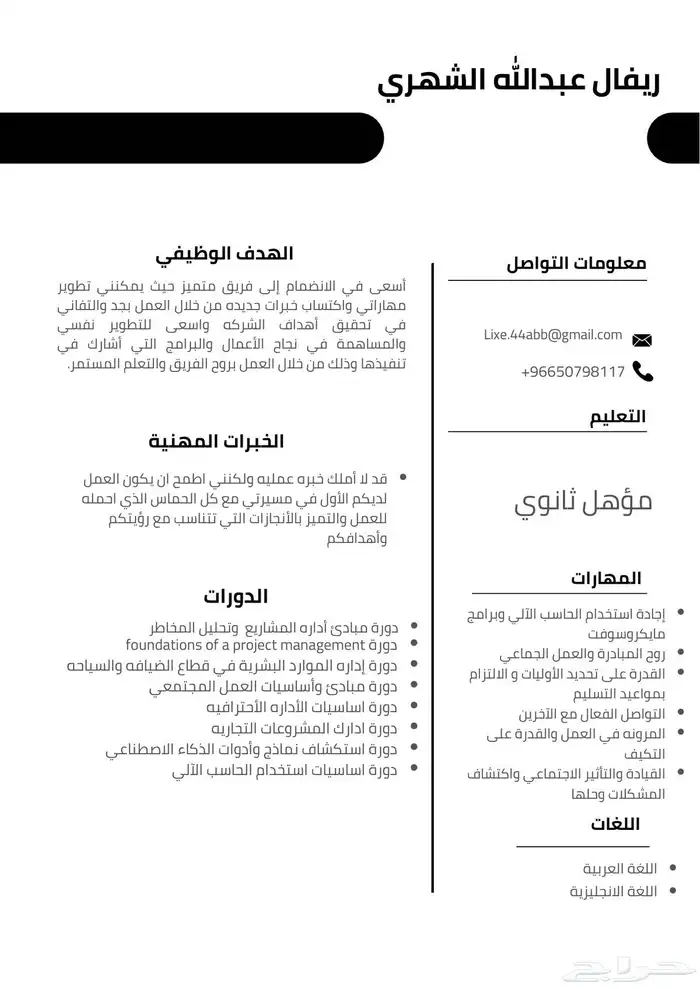 سيرة ذاتية احترافية 4