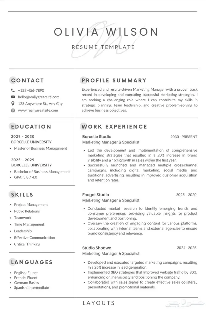 سيرة ذاتية احترافية 12